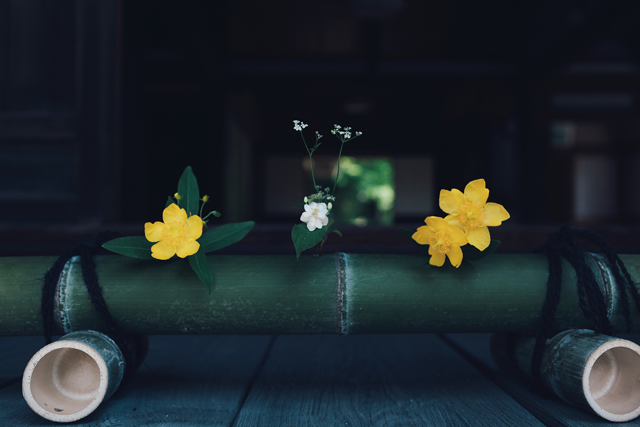 竹に飾られた黄色と白の可憐な花